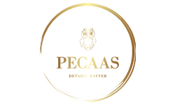 Post-Secondary Education Consultant and Admin Solutions (PECAAS)